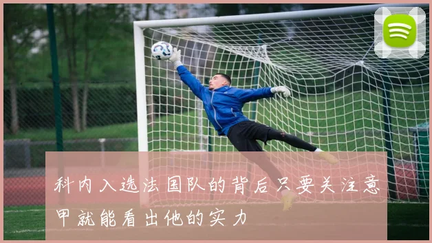 科内入选法国队的背后只要关注意甲就能看出他的实力