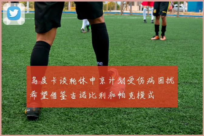乌度卡谈轮休申京计划受伤病困扰希望借鉴吉诺比利和帕克模式