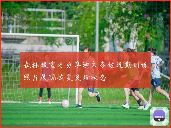 森林狼官方分享迪文岑佐近期训练照片展现恢复良好状态